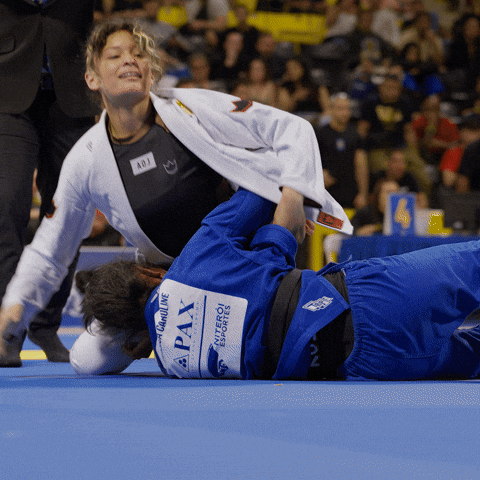 Art of Jiu Jitsu GIF