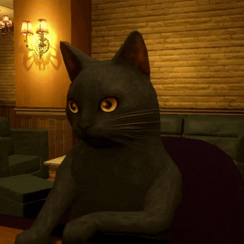 Catdance GIF