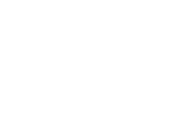 WFI SC Sticker