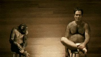 Force evolution korn GIF