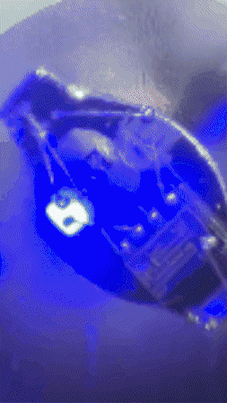 Led GIF