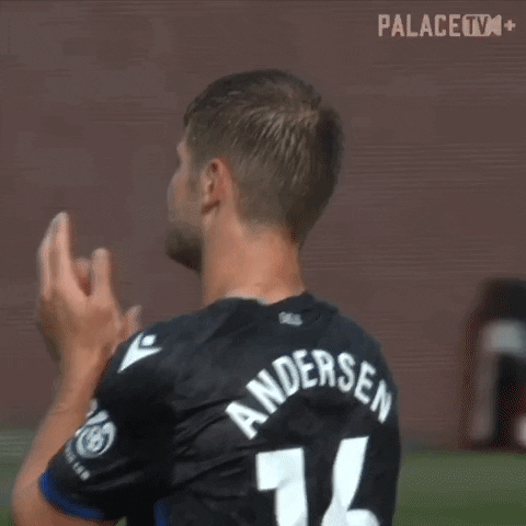 Premier League Thank You GIF by Crystal Palace Football Club