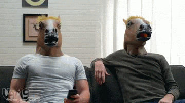 high five horse GIF