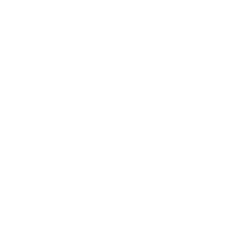 The Pole Gym Brisbane City Sticker