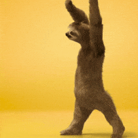 Sloth GIFs - Find & Share on GIPHY