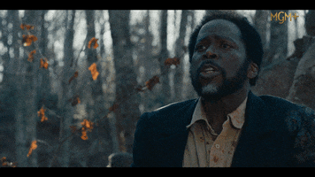 Harold Perrineau Survivor GIF by FROM