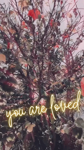 Summer Love GIF by Guided by Light Art