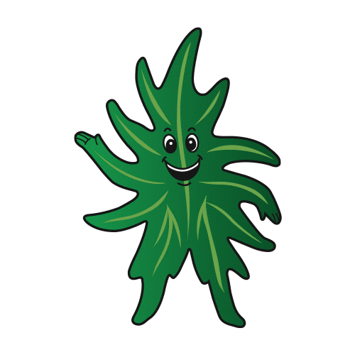 Maxisolo Sticker by Sulgesso