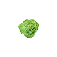 Food Salad GIF by vegpan