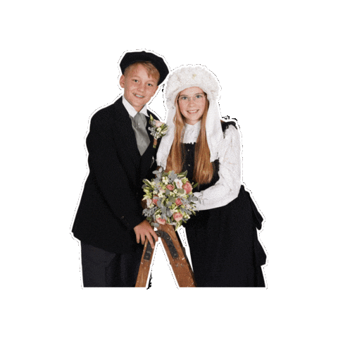 CV de Brookhaze Sticker