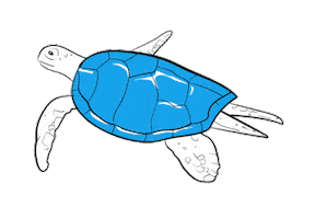 Cabo Verde Natura 2000 Sticker