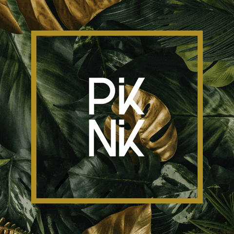 piknik_mx marketing agency content piknik GIF