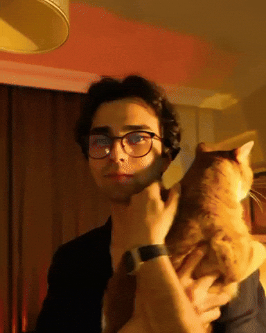 Cat Hug GIF