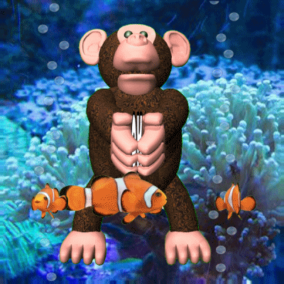 Digital art gif. Monkey is moving their arms as if crashing two cymbals but instead, the text "OK" opens and closes in their hands. Clown fish swim around its feet, the whole scene taking place underwater at a coral reef.