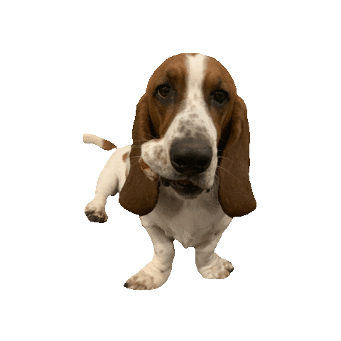 MagicPlusTravel Sticker