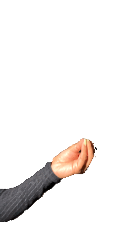 Made You Look Hand GIFs