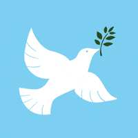 No War Peace GIF by Hello All