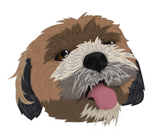 Mirandooodle Sticker