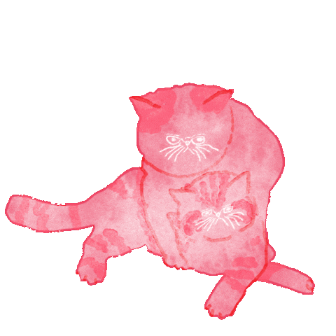 Cat Heart Sticker