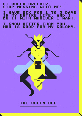 Queen Bee GIF by ailadi