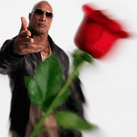 The Rock GIF