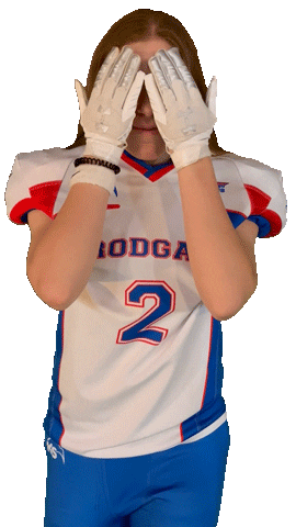 rodgau_pioneers Sticker