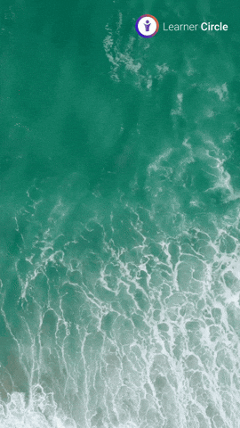 GIF by Learner Circle