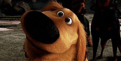 200.gif?cid=f0bdee706fu2oh3003fh3fwx38b6ypf9ribjnpz3d026qr87&rid=200.gif&ct=g