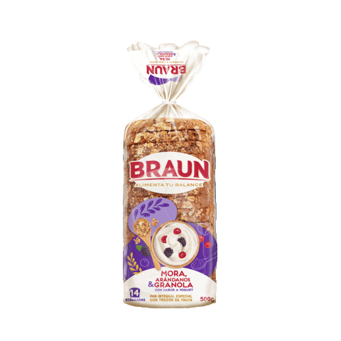 BraunEc Sticker