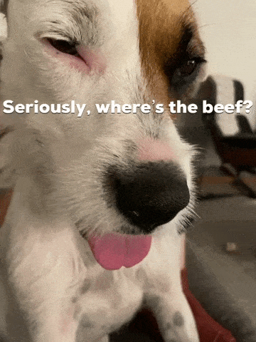 Giphy - Dog Wheres The Beef GIF by arielle-m