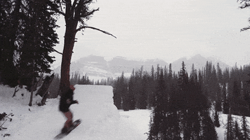 awesome you can do it GIF by X Games 