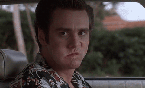Jim Carrey Reaction GIF - Find & Share on GIPHY