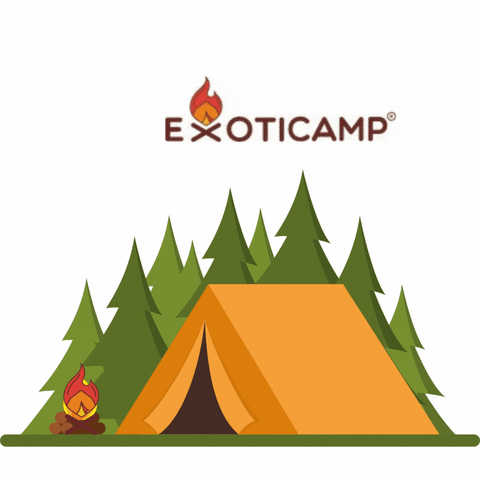 Fun Camping GIF by Exoticamp