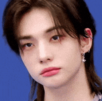 Stray Kids Skz GIF