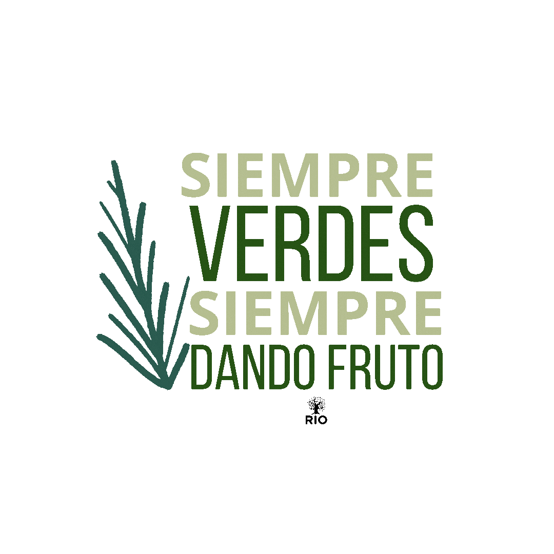 Iglesiario Sticker by Iglesia RIO Internacional