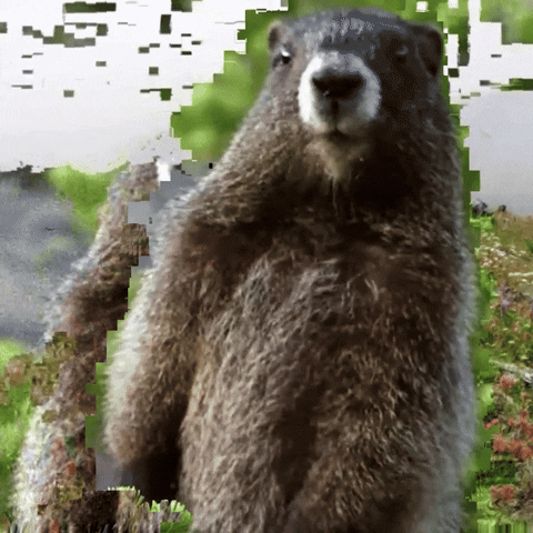 Dvghost GIF
