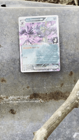 Trading Cards Pokemon GIF
