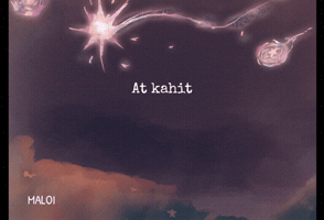 Mywalo GIF