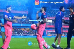 Rajasthan Royals GIF