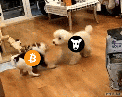 Pump It Crypto GIF by Web3 Newswire