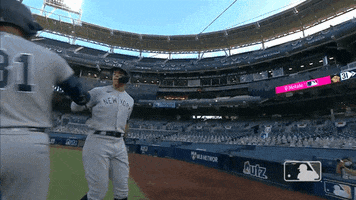 New York Yankees Hype GIF by MLB