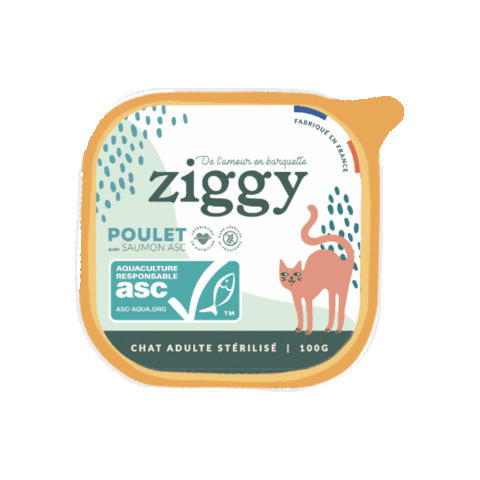 Cat Food Sticker by ziggy_family