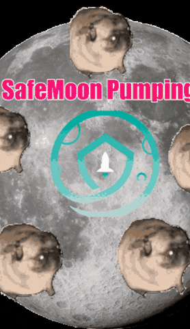 Safemoon GIF