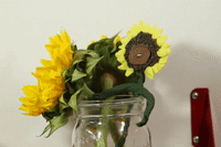Lazy Sunflower