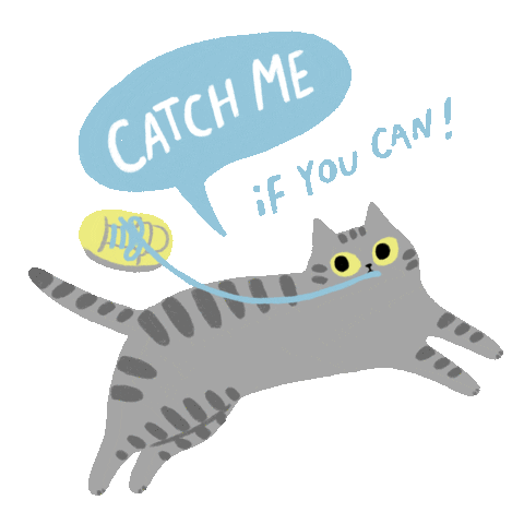 Cat Sticker