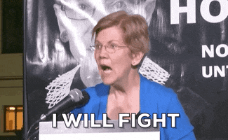 I Will Fight Elizabeth Warren GIF by GIPHY News
