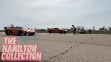 Drag Race GIF by TheHamiltonCollection