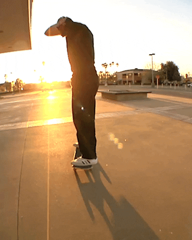 Adieu GIF by Pizza Skateboards