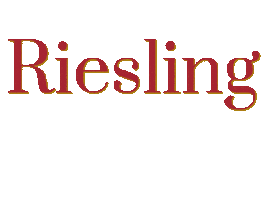 Wine Sticker by Grans Fassian