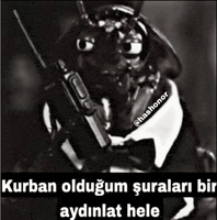 Hashonor GIF